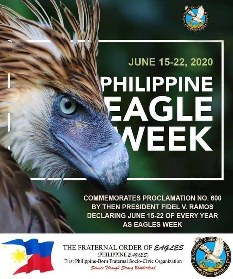 82909472_194044535230903_6674436116222913071_n