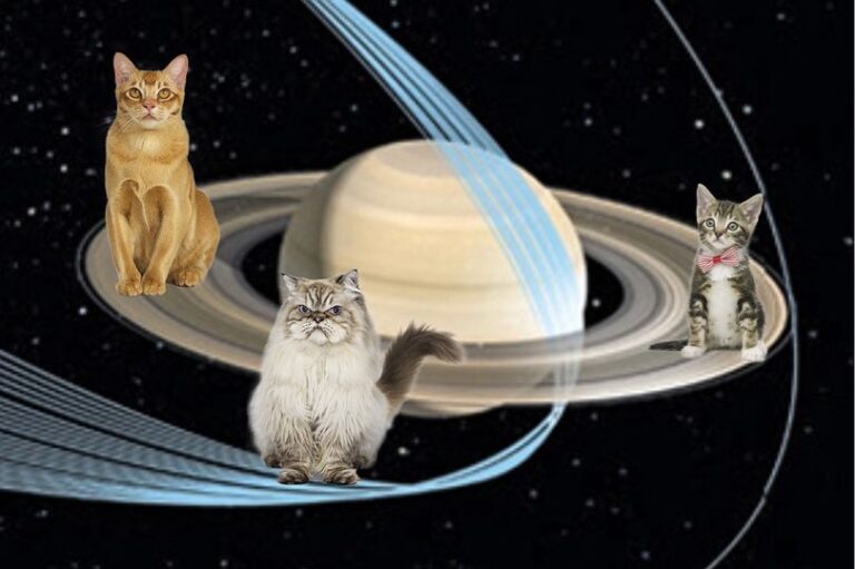 MGA PUSA, NATUKLASAN SA BUWAN NG PLANETANG SATURN