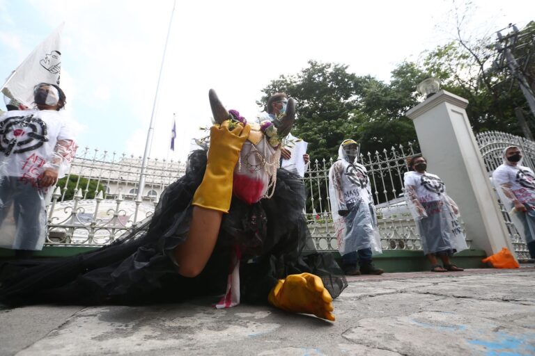 116078552_685973348676947_4886908422737072979_n