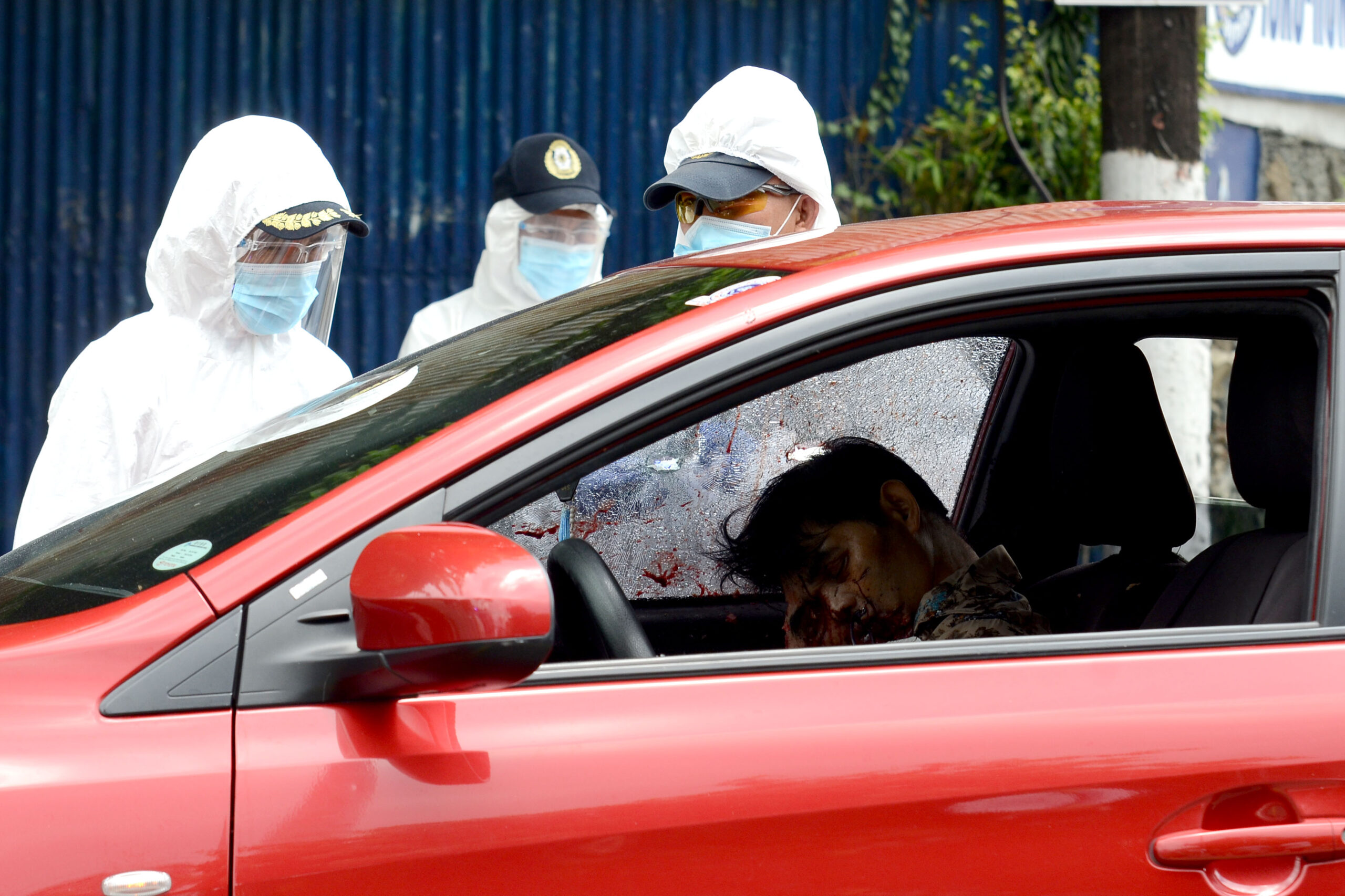 ambush-piscal_7372-1