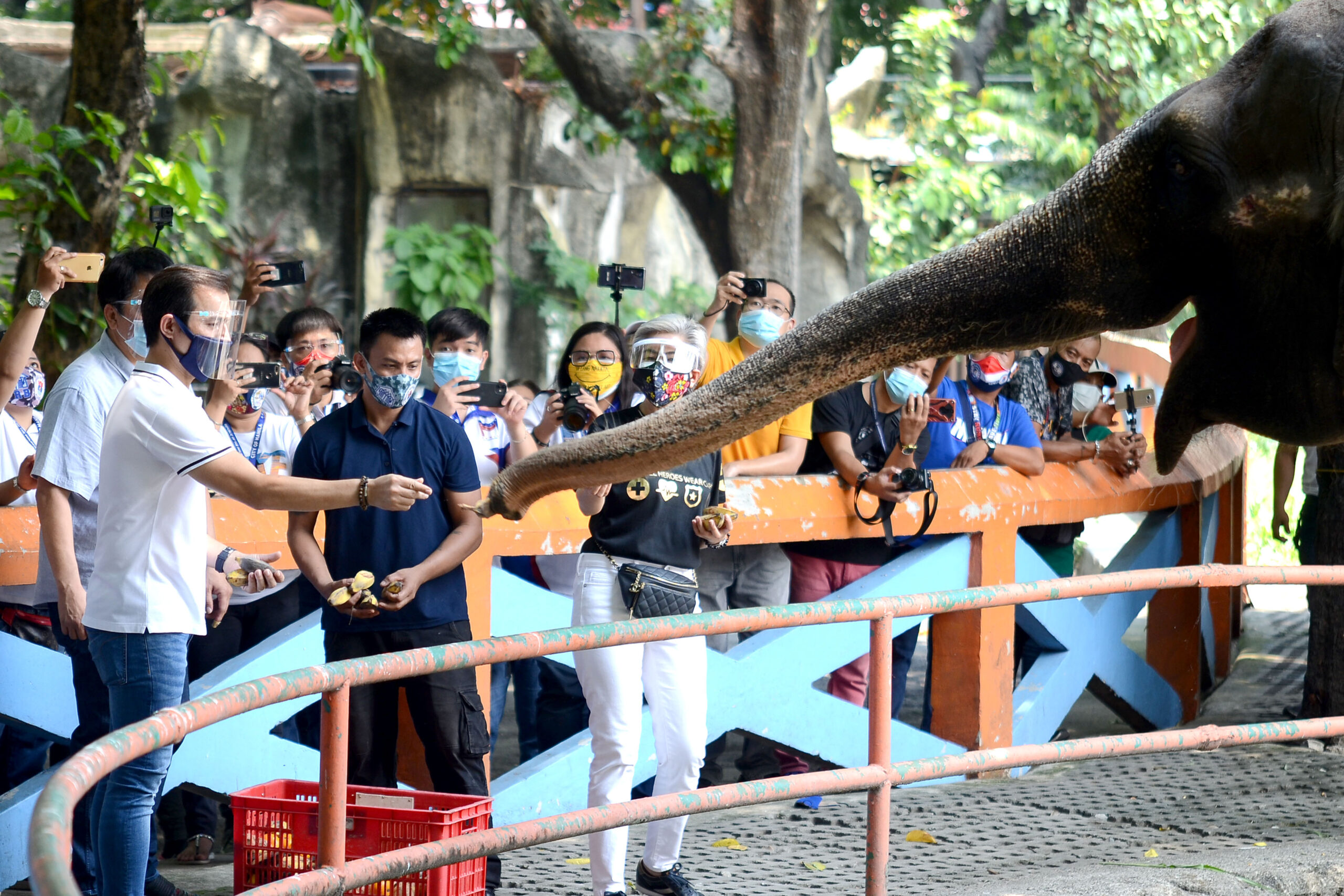 manila-zoo_3376