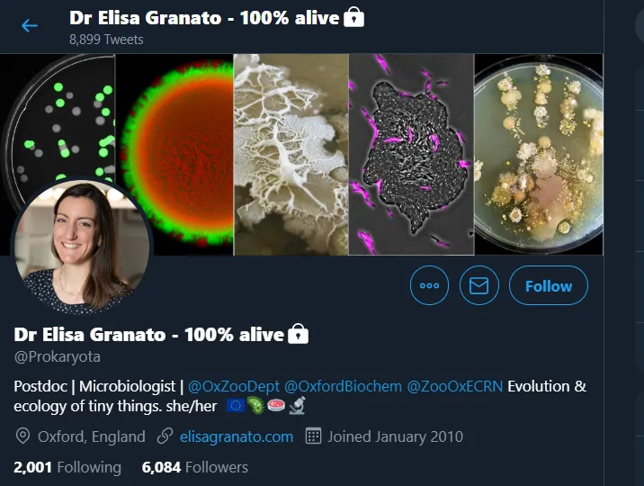 117291035_780238202733882_947486952482829163_n