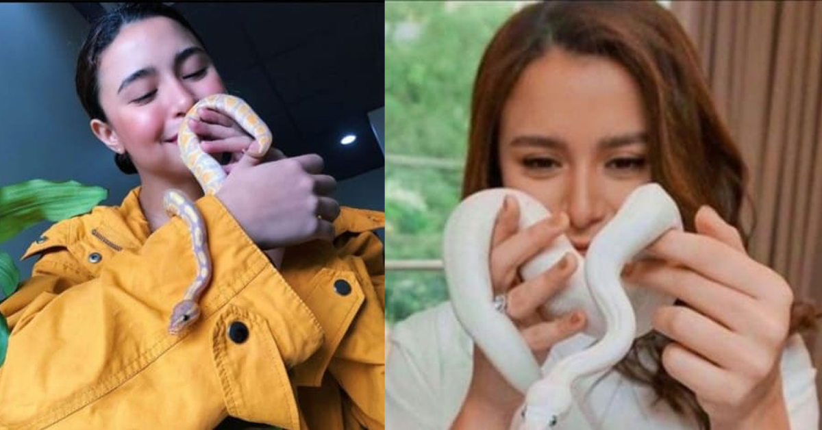 118158602_631429747514777_3973766033977921084_n