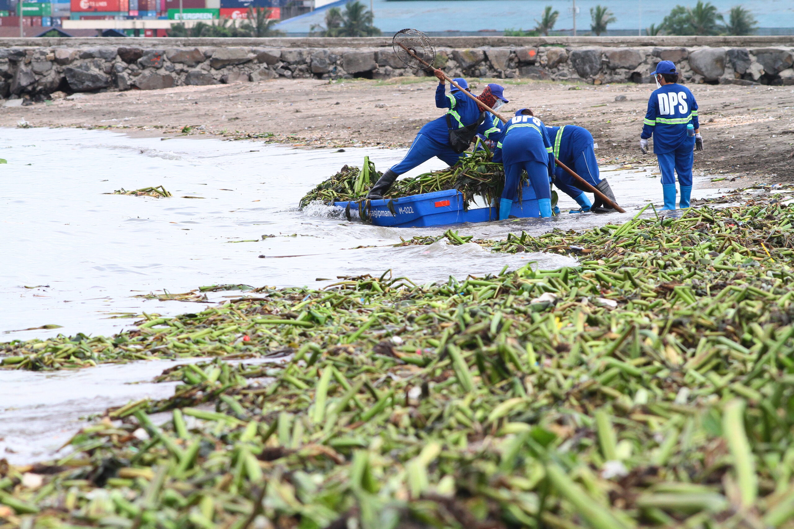 20200808_MFA_0026765