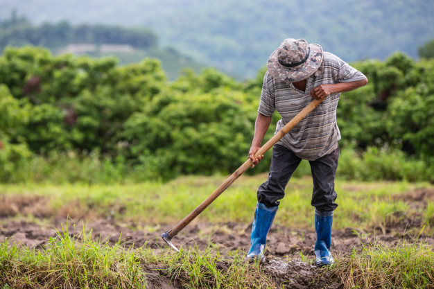 male-farmer-who-is-using-shovel-dig-soil-his-rice-fields_1150-17239