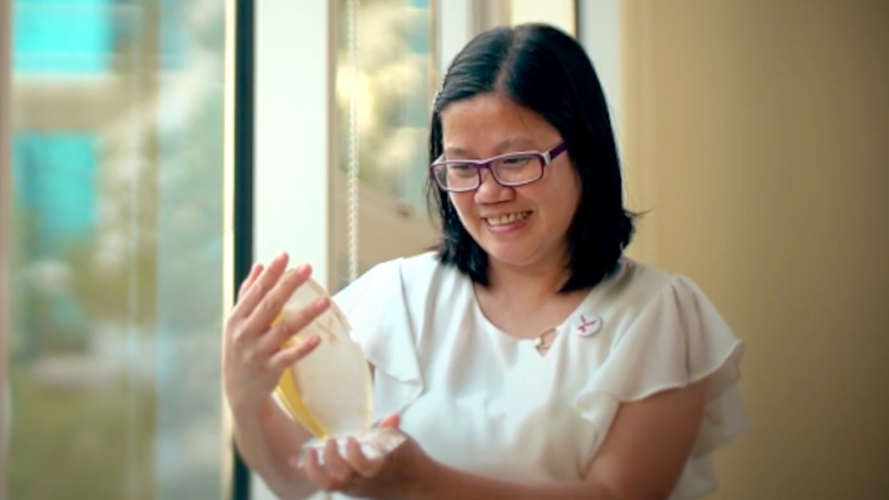 Screen-Shot-2020-11-27-at-9.31.01-AM-1280x720