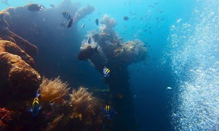 diving-the-usat-liberty-wreck-in-bali-indonesia