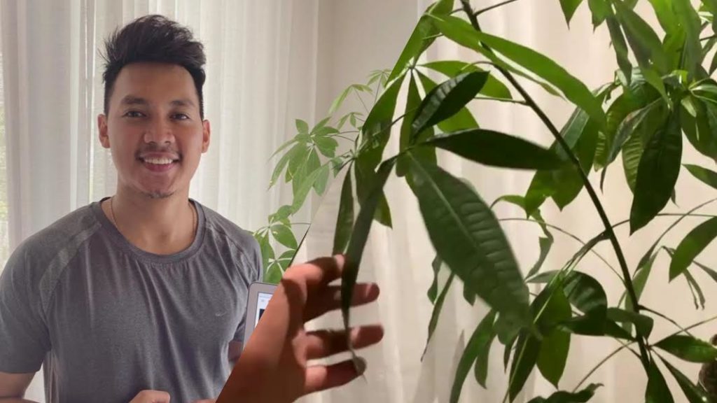 scottie-thompson-plantito-1024x576