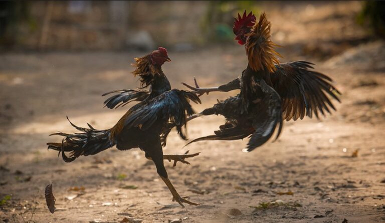 Screenshot-2021-04-03-134818