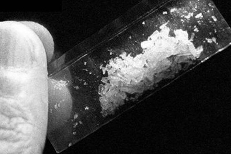 shabu_2020-06-27_21-02-43