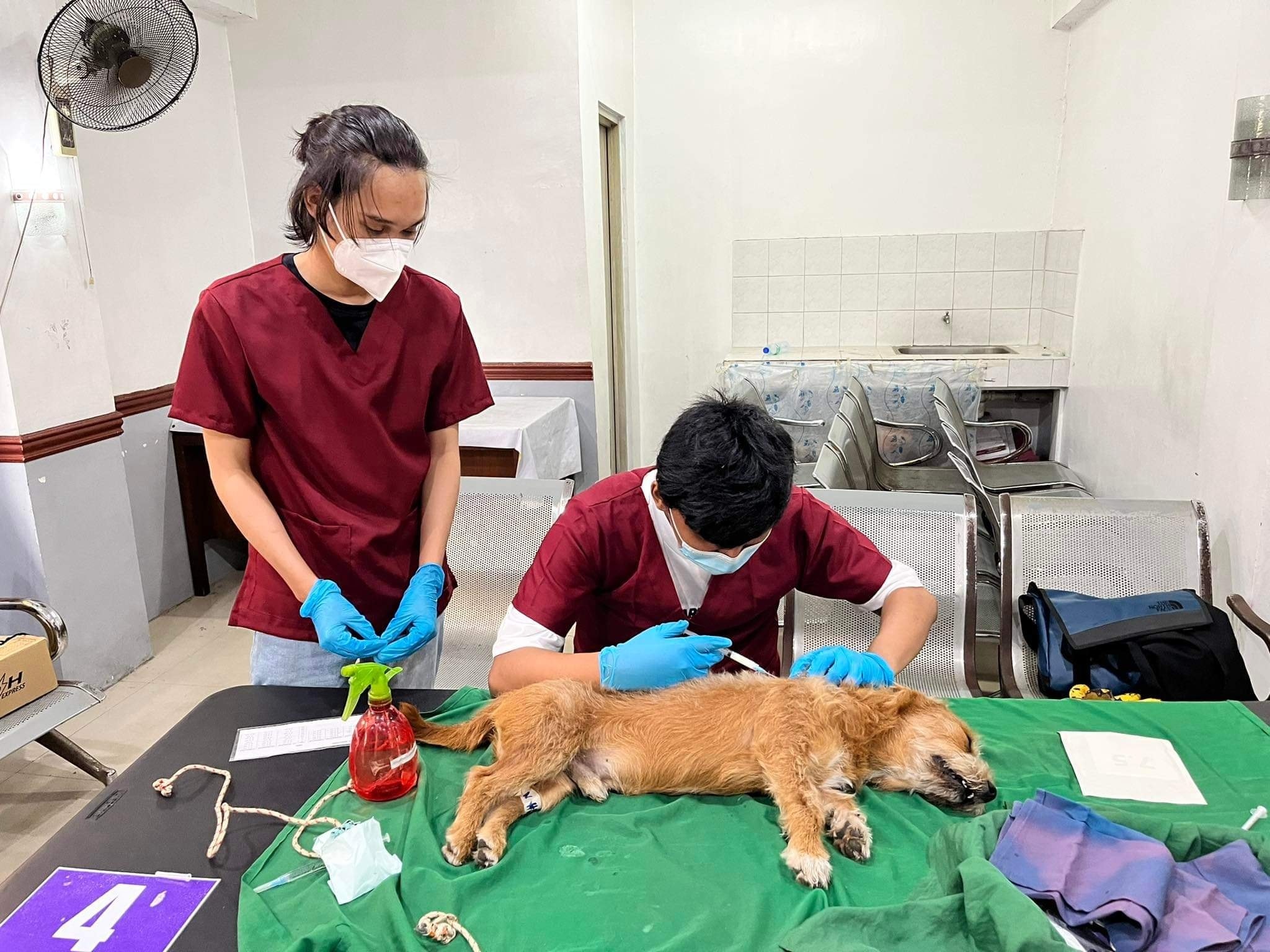 274632511_376562730964245_5719912514759473177_n