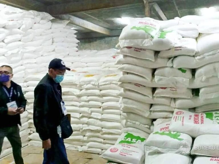 299356701_739000457179907_2056409200521936917_n