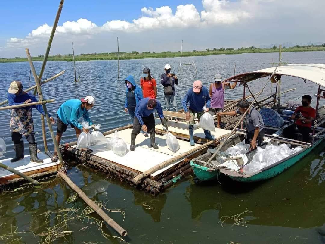 received_3273744166203072