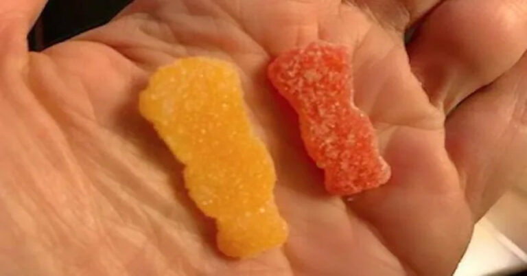 gummy-bear