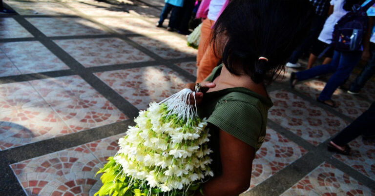 sampaguita