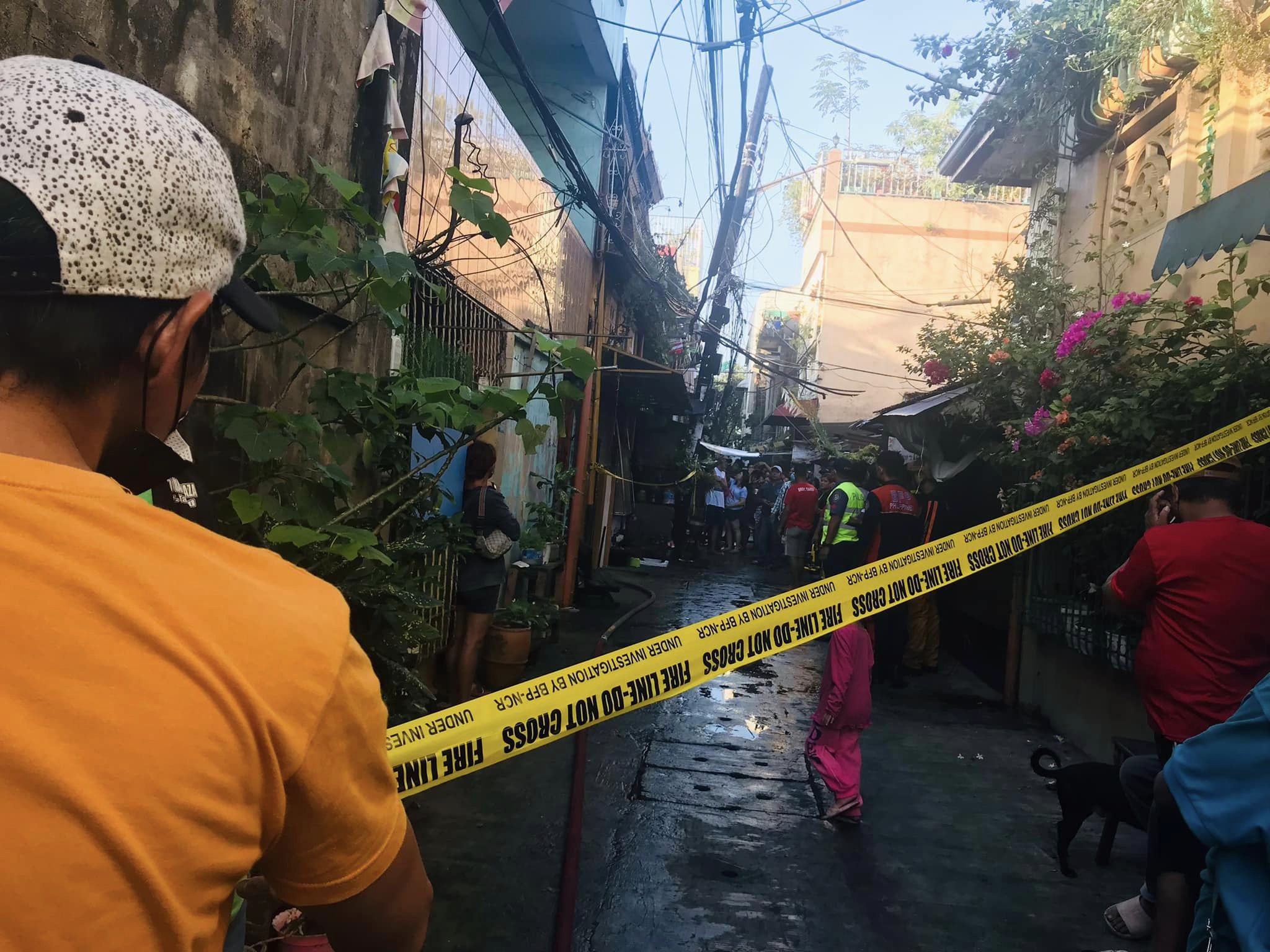 314449602_477495011147211_7356730365633696643_n