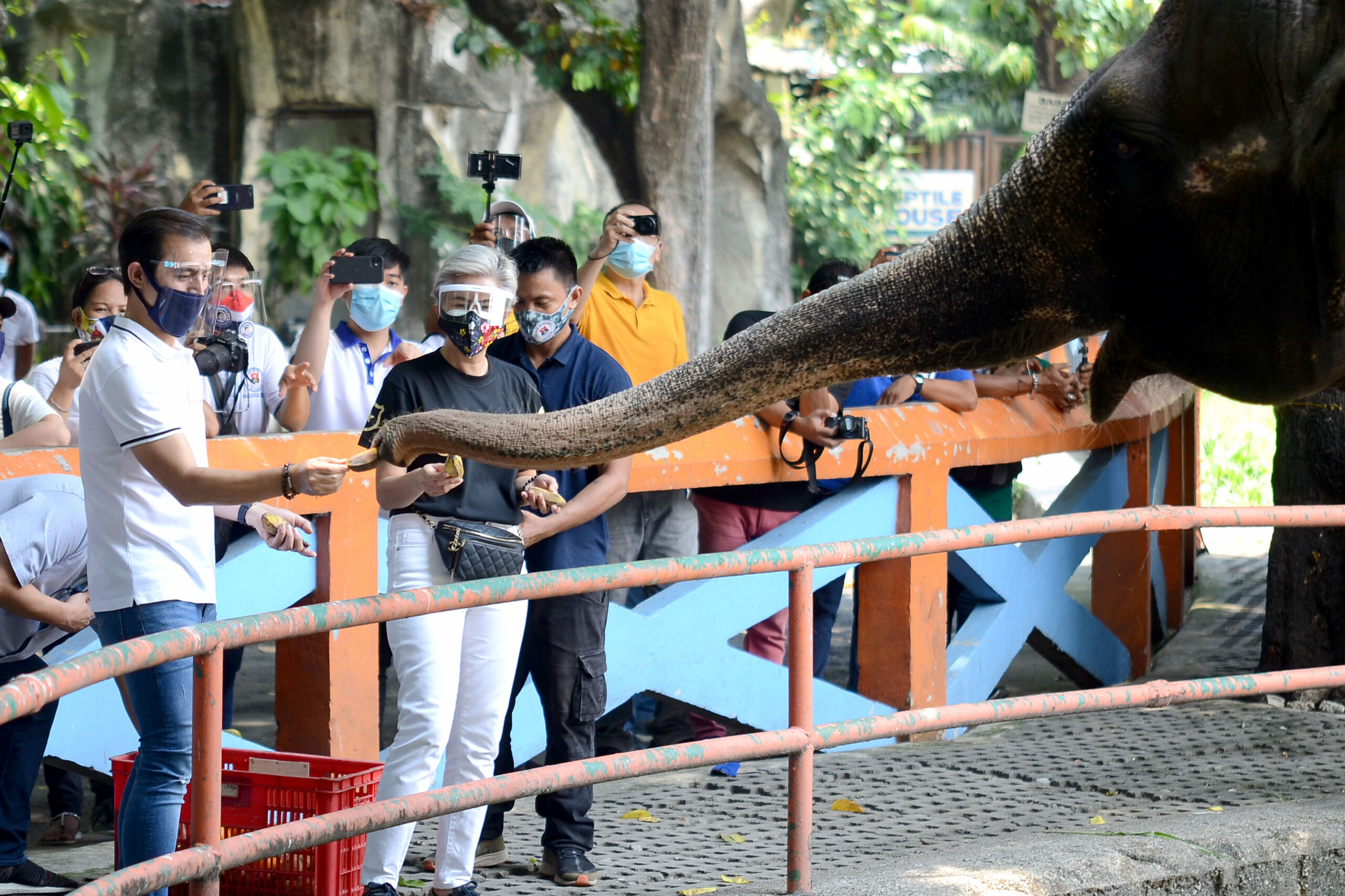 manila-zoo_3395