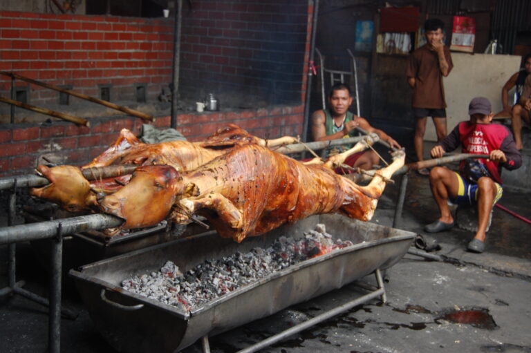 baka1-2