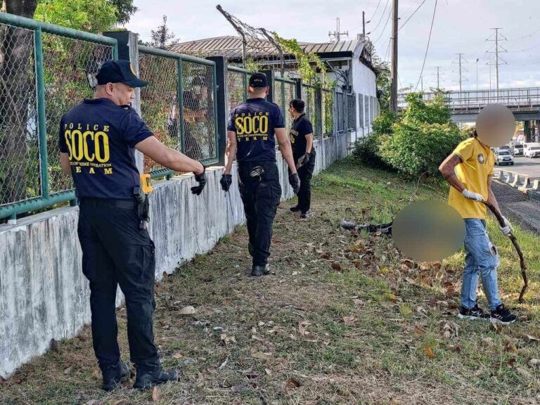 423686929_916708966855838_8582005812367822880_n