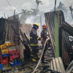 60 BAHAY NILAMON NG APOY SA TALISAY CITY