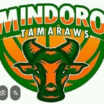 MPBL SEASON 7:HIGH FIVE SA MINDORO TAMARAWS NGAYONG 2025!