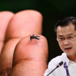 Gatchalian nanawagan ng patuloy na pagbabantay sa kabila ng pagbaba ng dengue cases