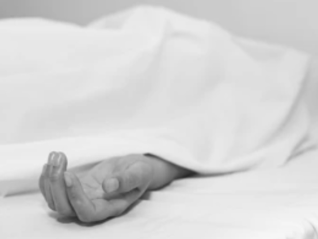 Untitled image - 2025-12-20T110613.885