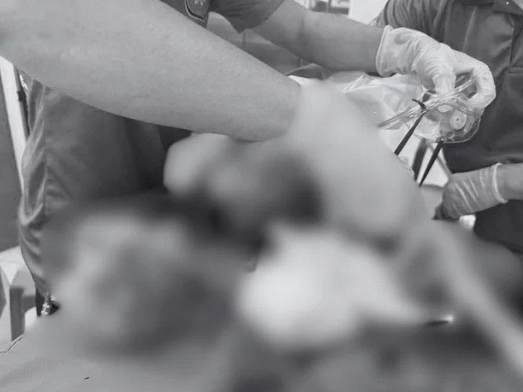 Untitled image - 2026-01-03T125712.374