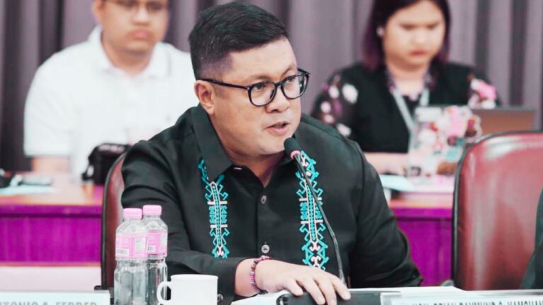 Parañaque 2nd District Rep. Brian Raymund Yamsuan