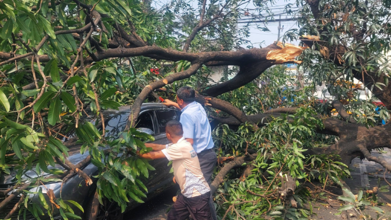 BI, MULING NAGBABALA SA MGA FILIPINO VS HUMAN TRAFFICKING ‘WAG MAG-BACKDOOR’ (8)